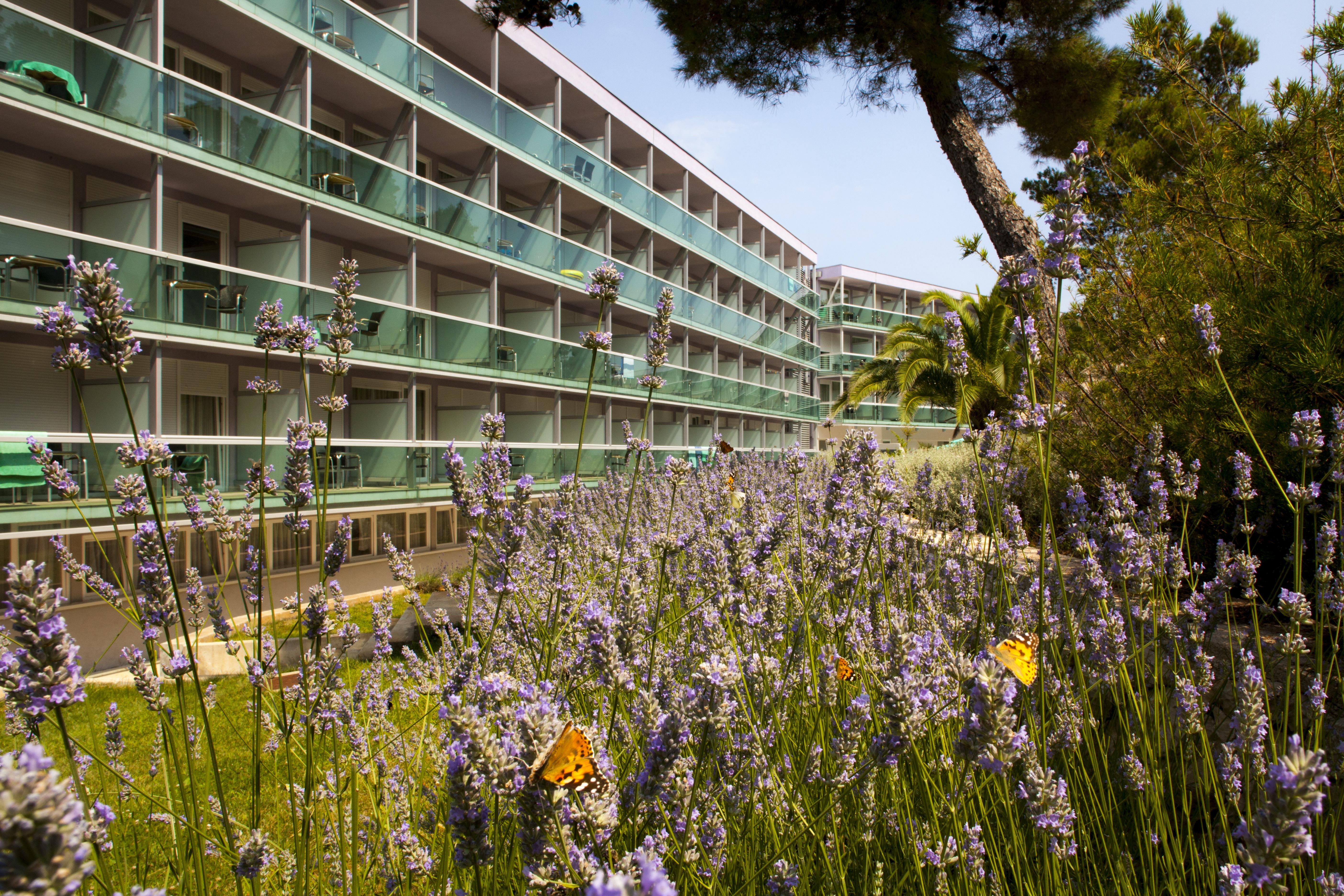 Hotel Aurora Mali Lošinj Exteriér fotografie